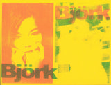 Björk Risograph Print